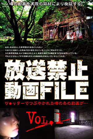 Poster 放送禁止動画FILE Vol.1 2010