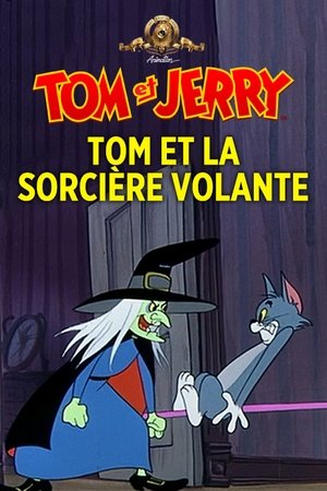 Image Tom et la sorcière volante