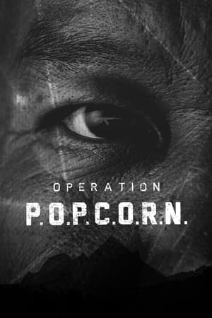 Poster Operation Popcorn 2015