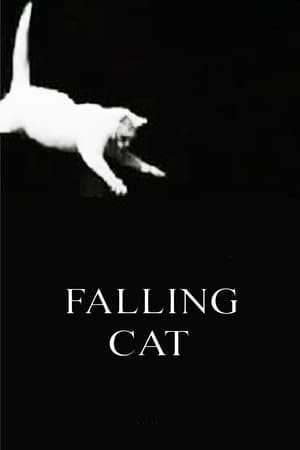 Image Falling Cat