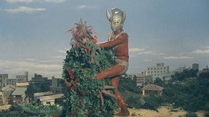 Épisode 11
