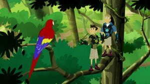 Wild Kratts Parrot Power