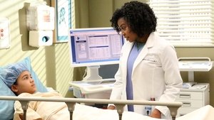 Grey’s Anatomy 13 x Episodio 13