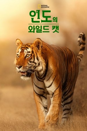 Image 인도의 와일드 캣