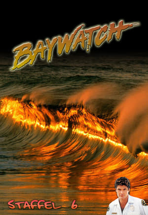 Baywatch: Staffel 6