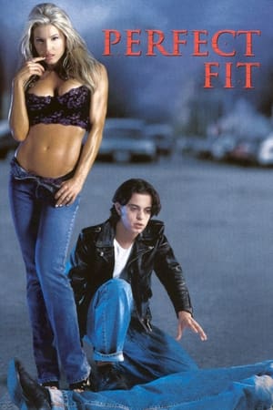 Poster Perfect Fit (2001)