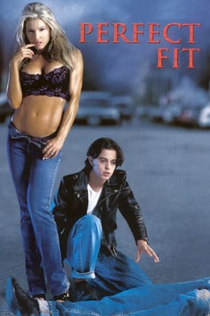 Poster Perfect Fit 2001