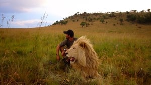 African Safari 2013