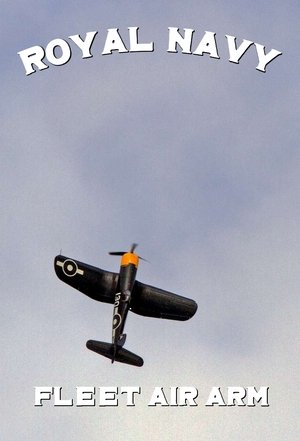 Navy Pilots: Fleet Air Arm
