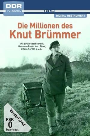 Image Die Millionen des Knut Brümmer