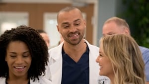 Grey’s Anatomy: Stagione 14 – Episodio 13