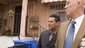 The Closer: 3×7