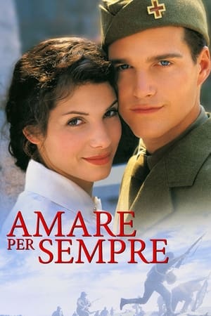 Poster Amare per sempre 1996