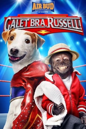 Poster Galet Bra, Russell! 2015