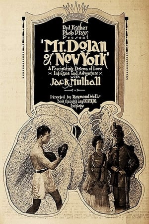 Poster Mr. Dolan of New York (1917)