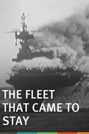 The Fleet That Came to Stay poster