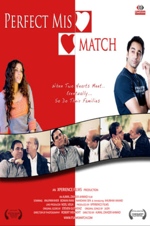 Poster Perfect Mismatch (2009)
