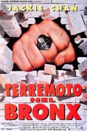 Poster Terremoto nel Bronx 1995