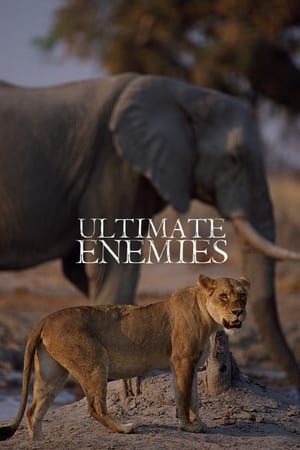 Poster Ultimate Enemies: Revealed (2022)