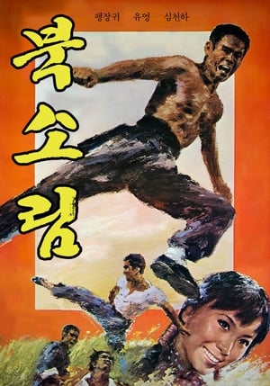 Poster 北少林 1976