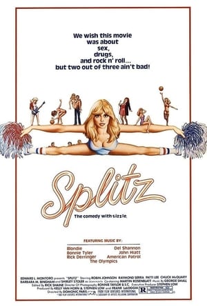 Splitz poster