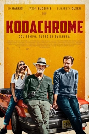 Poster Kodachrome 2017