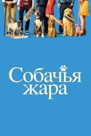 Собачьи дни