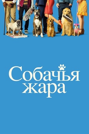 Poster Собачьи дни 2018