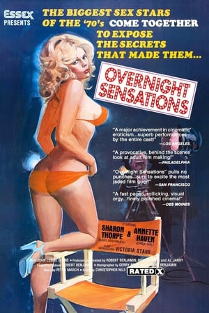 Poster Overnight Sensation (1976)