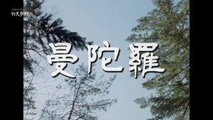 Episode 19