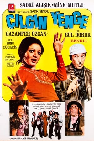 Poster Çılgın Yenge (1972)