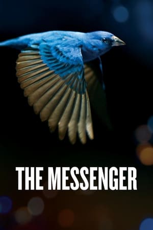 The Messenger film complet