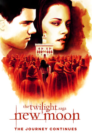 Poster New Moon: The Journey Continues 2010
