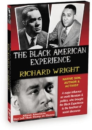 Richard Wright: Native Son, Author and Activist film complet