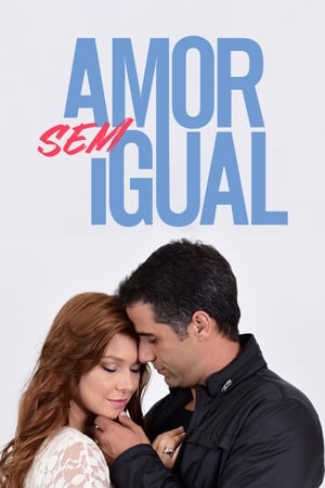 Poster Amor sem Igual 2019