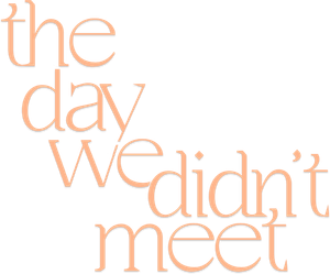The Day We Didn't Meet