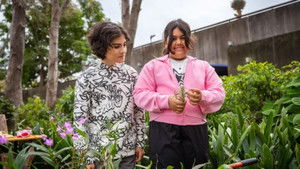 Log Pot Party | StreamHub