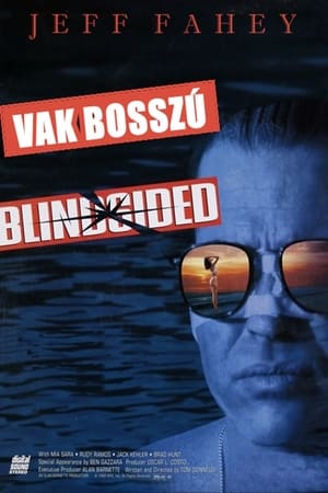 Blindsided poster