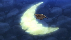 Woodpecker Detective’s Office: 1×1