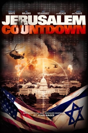 Poster Jerusalem, cuenta atrás 2011