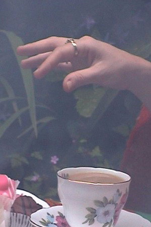 The Sealed World (2009)