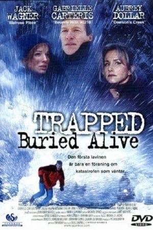 Image Trapped: Buried Alive
