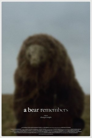 Image A Bear Remembers