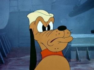 Pluto est de garde