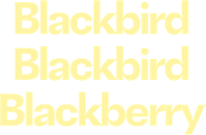 Blackbird Blackbird Blackberry (2023)