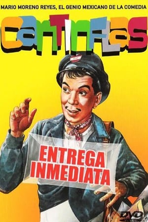 Entrega Inmediata poster