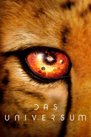 Image Das Universum