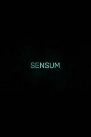Poster Sensum 2017