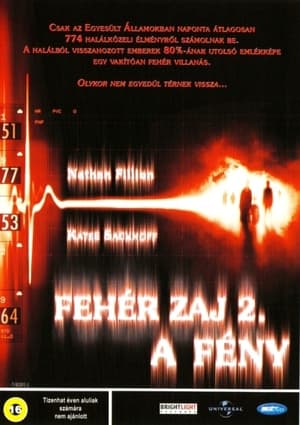 Fehér zaj 2: A fény (2007)