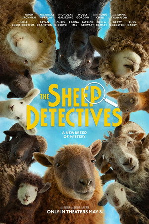 poster The Sheep Detectives